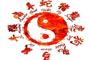 一、  近期运势的解读与自然界信号的关联