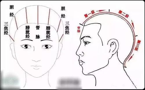 2. 经络疏通与热敷疗法的应用