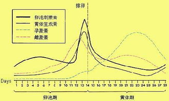 饮食和生活方式的作用于