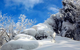 雪乡那些让人钱包滴血的自费项目