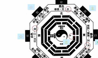 1. 完整信息收集阶段