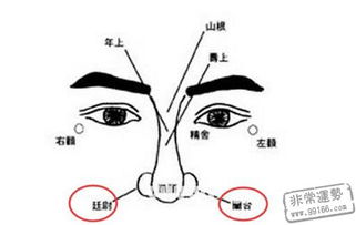 手中五指之间没有缝隙