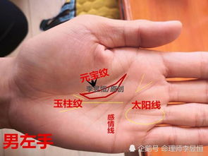 财库纹与守财纹之辨析
