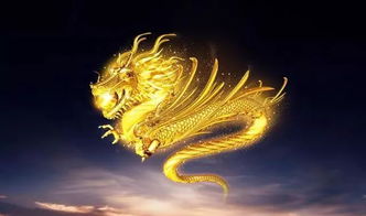 88年属龙男性36岁在2026年能生男孩吗？