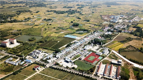 凤阳这个地方有没有人专门研究堪风水呢？