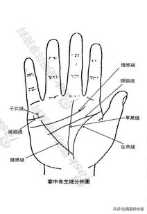 为什么媳妇不让别人看她的手相呢？