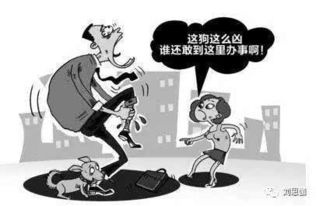 四、星象预测与防范提议