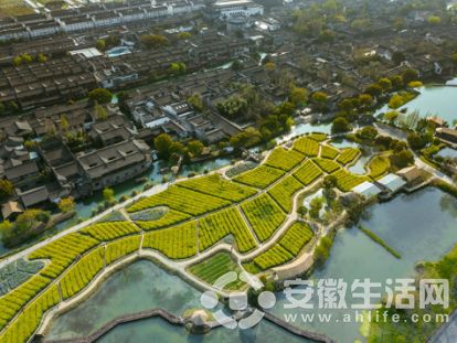 案例三：乌镇—清晨水乡秘境