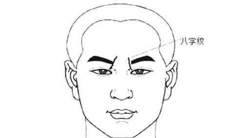 男人面部纹路图解吉凶，男人鼻子看命图解准确吗？