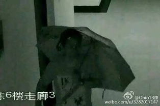 1.1 传统文化中的“阴阳”与“五行”观念
