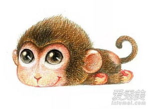 属猴男性财运如何，具体表现有哪些？