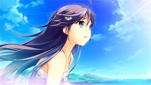 一、 水瓶座核心特质解析