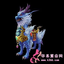 4. 光照与环境因素的考量