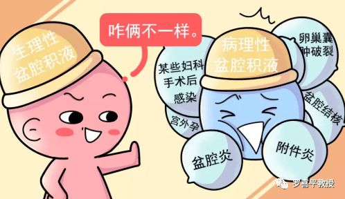 3. 盆腔炎：感染后的“复仇”