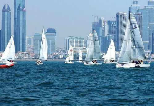 一、 今日海况概览