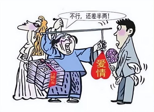 其他明星与豪门案例概览