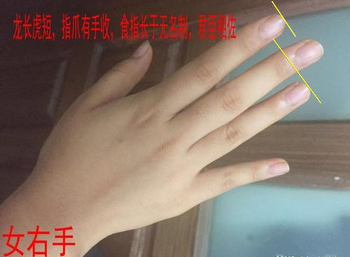 如何通过女人手相来判断身体状况？