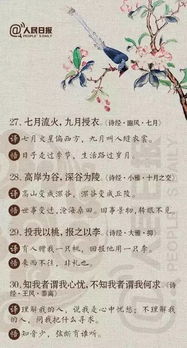 三、 寓意解读：多维度的生命观