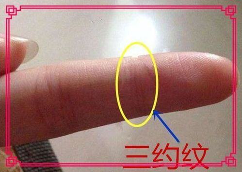 (2) 社会认知偏差导致心理压力