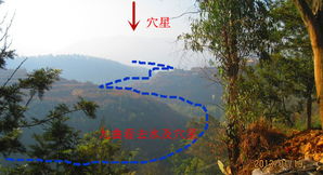 成功就是风水，龙行天下风水论坛，如何打造最佳风水布局？