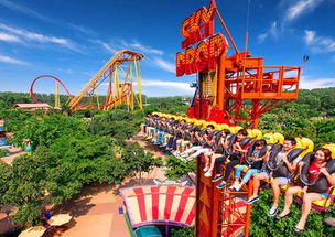 游玩体验：排队排到怀疑人生——真的是排队吗？还是一种精神折磨？🤯🤯🤯