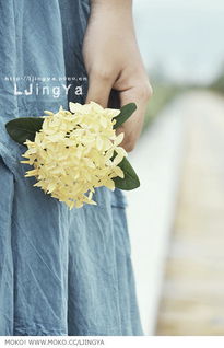 夏至当天夏末期间，有哪些特别的风俗习惯或活动？