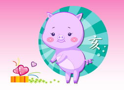 属羊的兔年运势和属猪女兔年运势分别如何？