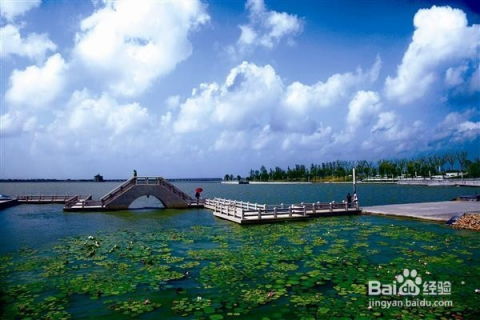 所谓的特色表演