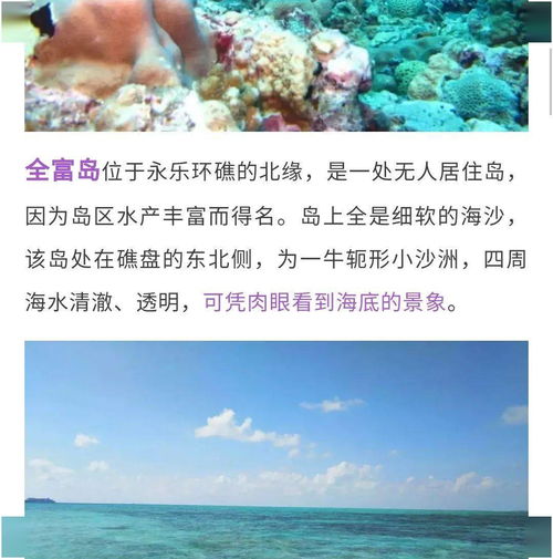 大海之外的命格探索：多元化发展潜力