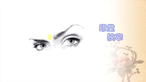 2. 鹰钩鼻