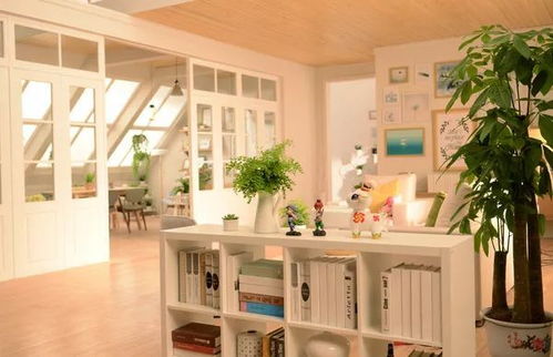 适用于准提超度的具体人群