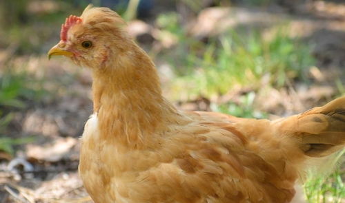 惯与五行八字的那些事儿（我不太懂）