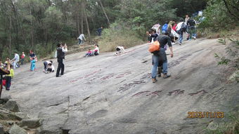 七、给后来者的“血泪建议”：全是坑,请绕行