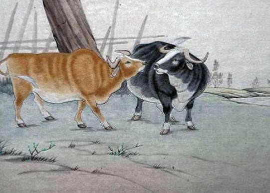 1. 生肖与性格倾向关联性分析