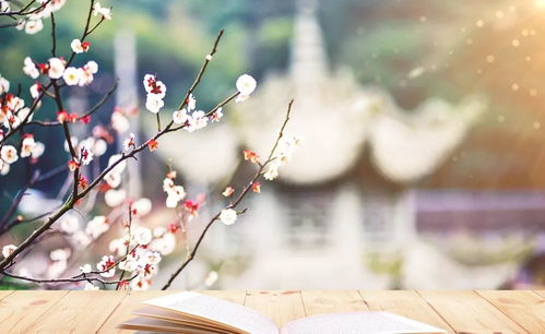 感恩与成长：生命的两面镜子