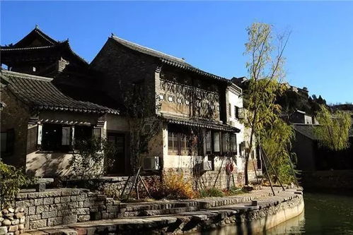 半价票的“隐形门槛”：你的学生证 ，真实的“达标”吗？