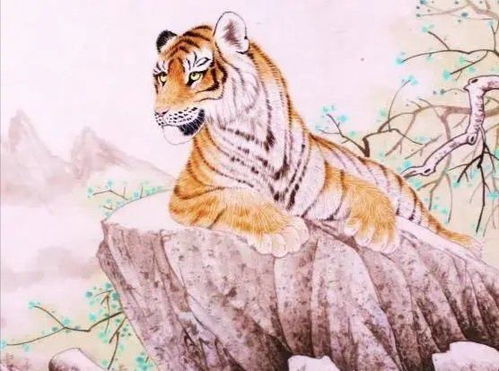 属虎10月感情运势如何？属虎女招财转运物件是什么？