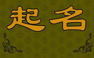 取名：一场关于梦想与希望的对话