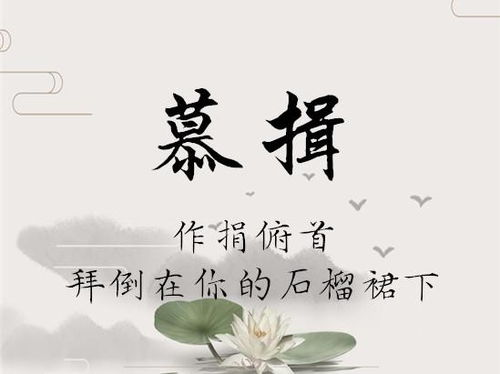 不要踩雷！这些坑千万要避开！