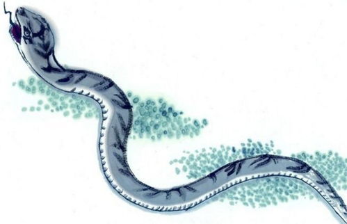 2026年属蛇人的事业和学业会有怎样的变化和表现？