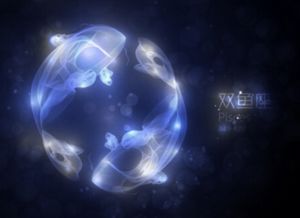 五、 情感丰富有与直觉冲动之间的张力