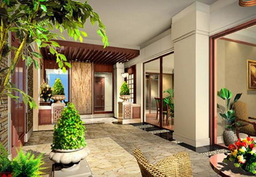 二、 扇子树的生长习性与栽培要点