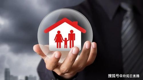 二、  金融共生模式下的五行失衡与风险转嫁