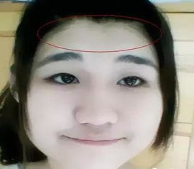 （五）健康指示及其他面部标记