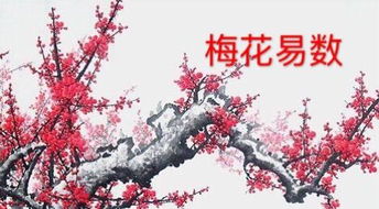 梅花易数的缘起与核心原理