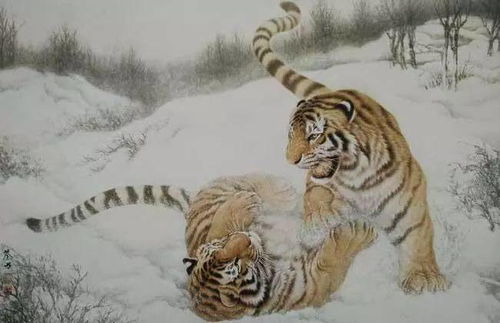 2026年属虎的人事业运势如何，那年的运气具体表现是什么？