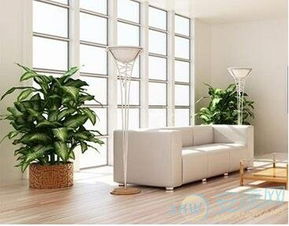 ：家居风水生态系统的宏观审视与微观重构