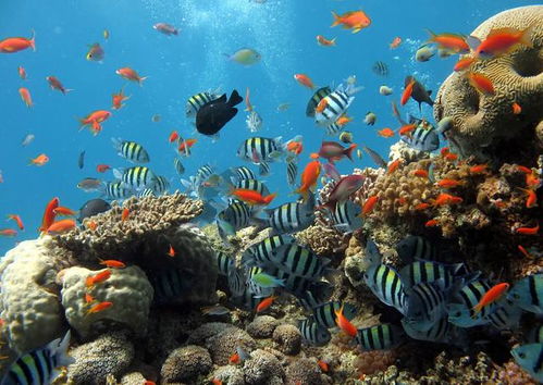 交通方式竟然影响桃花运？！