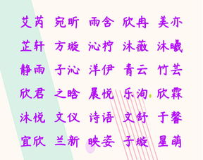四、借鉴经典：汲取智慧