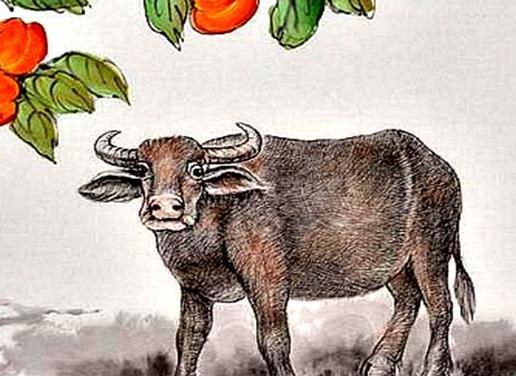 属牛男属马财运如何？属牛马一生最旺的时辰是何时？